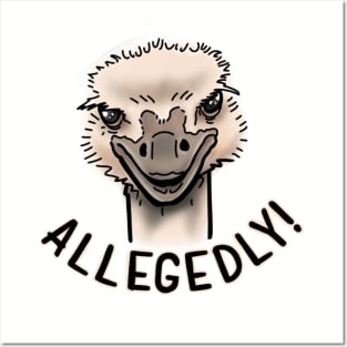 Allegedly Posters and Art